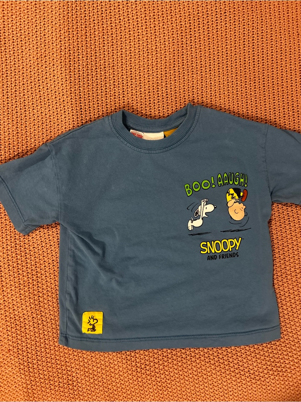 Zara Peanuts Snoopy & Charlie Brown Graphic T-Shirt Blue Kids 3